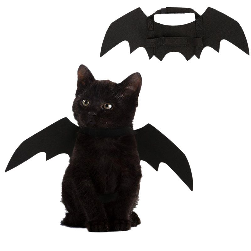 Bat Halloween Costume for Cat