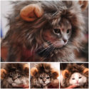 Cute Lion Mane Costume for Cat