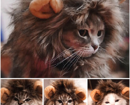 Cute Lion Mane Costume for Cat