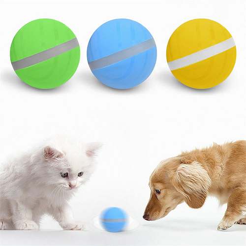 Motion Activated Ball For Pet